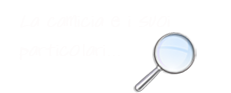 descrizione camicie