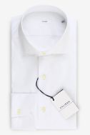 Camicia Caliban Regular CALIBAN-1UVACURUA1-PE26