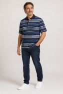 Polo Casamoda Classic KE-CASAMODA-126320041-105