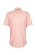 Camicia no stiro Seidensticker Regular KE-SEIDENSTICKER-01146641-65