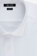 Camicia Aplomb Slim APLOMB-2100-CAMBRIDGE-100