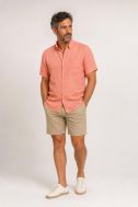 Camicia Casamoda Classic CASAMODA-126130671-452