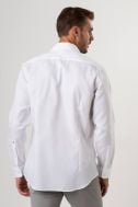 Camicia no stiro Seidensticker Regular KE-SEIDENSTICKER-01293677-01