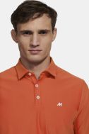 Polo Meyer Regular KE-MEYER-TIGER-9-9005-45-REGULAR