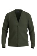Maglia Olymp Classic KE-OLYMP-533566-47