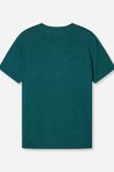 T-shirt Olymp Regular KE-OLYMP-562112-43