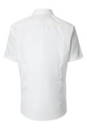 Camicia Venti Regular KE-VENTI-007580-002