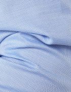 Camicia no stiro Xacus Regular XACUS-11806-WF558ML-002
