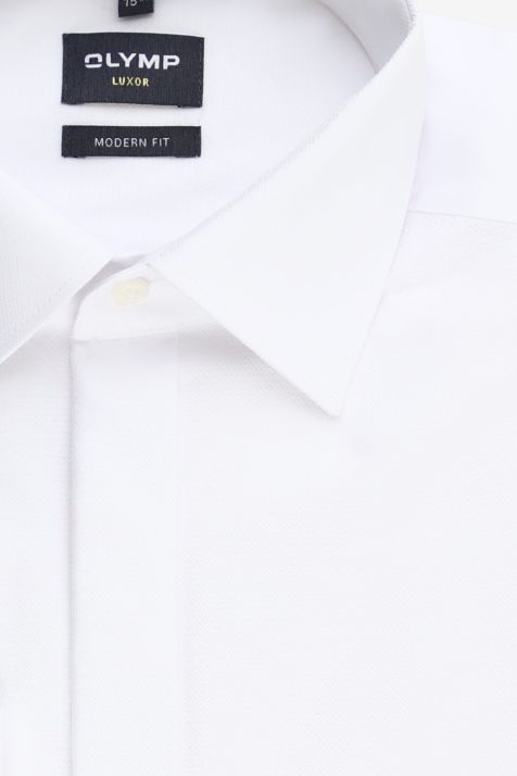 Camicia Uomo Olymp Classic No Stiro Micro disegno 100% cotone collo Italiano Manica lunga